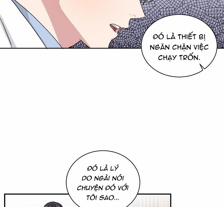 Chàng Tuấn Mã Của Tôi 4 trang 13