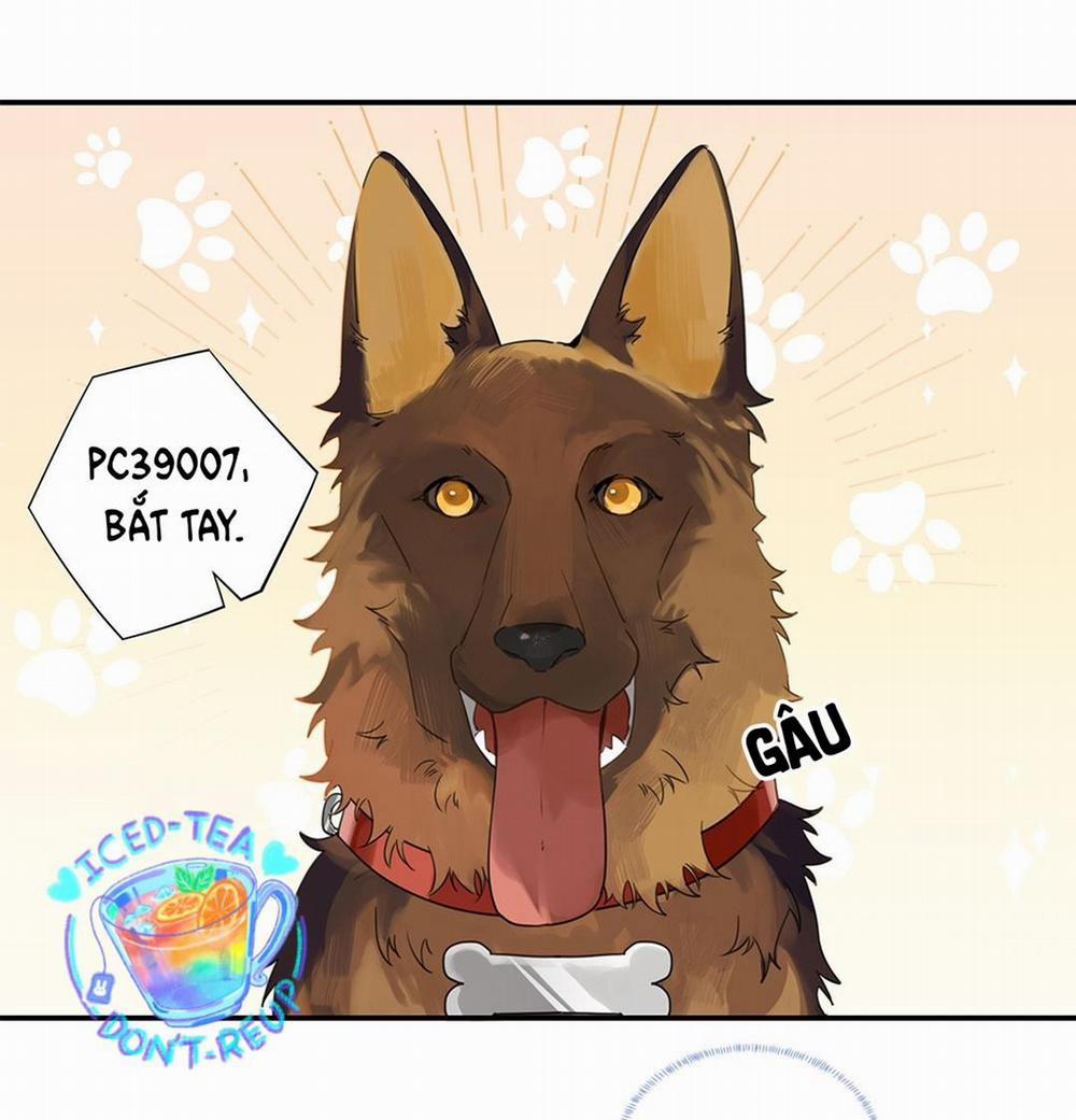 Chào, Đã Lâu Không Gặp 12 trang 2