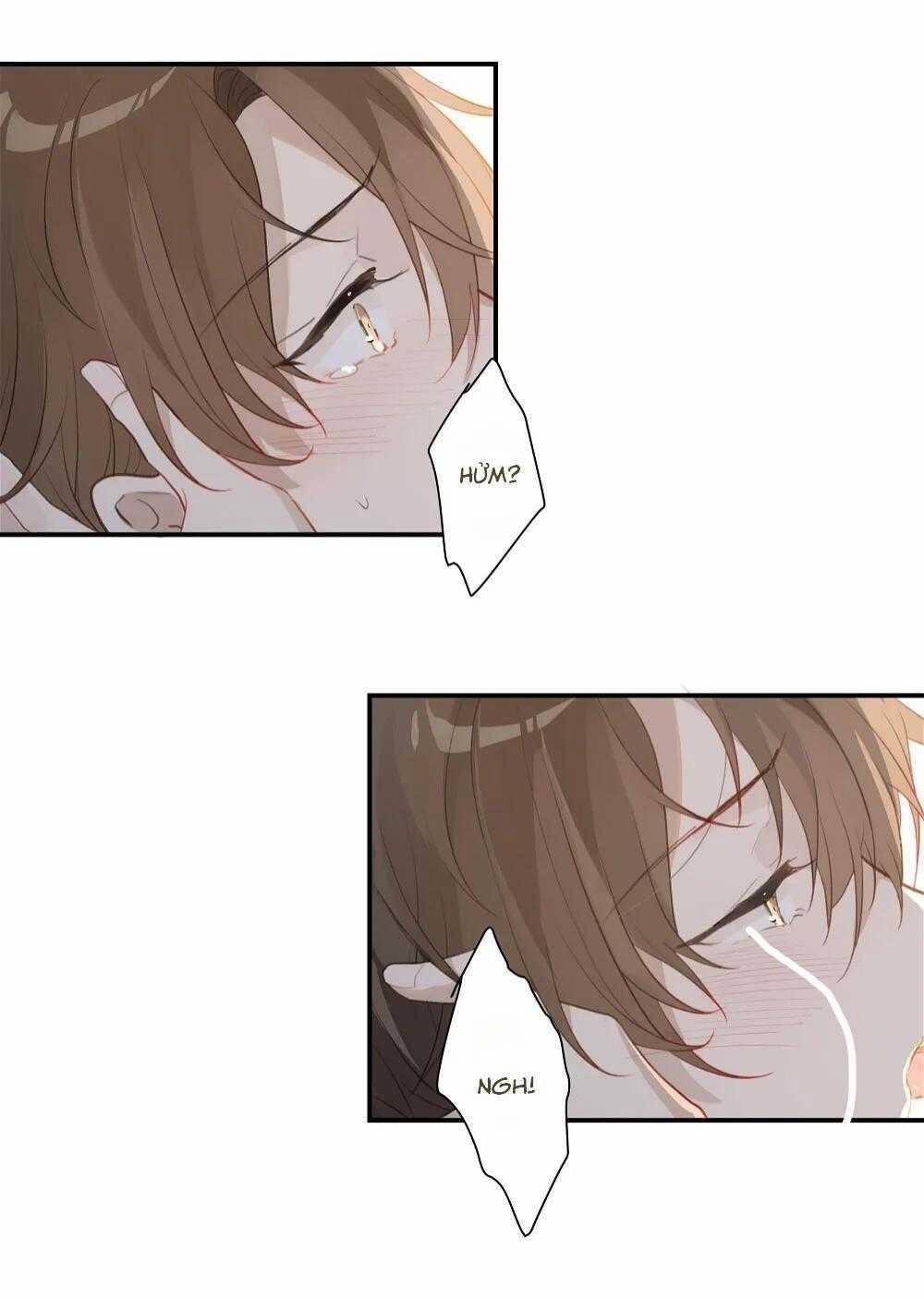 Chào, Đã Lâu Không Gặp 50 trang 17