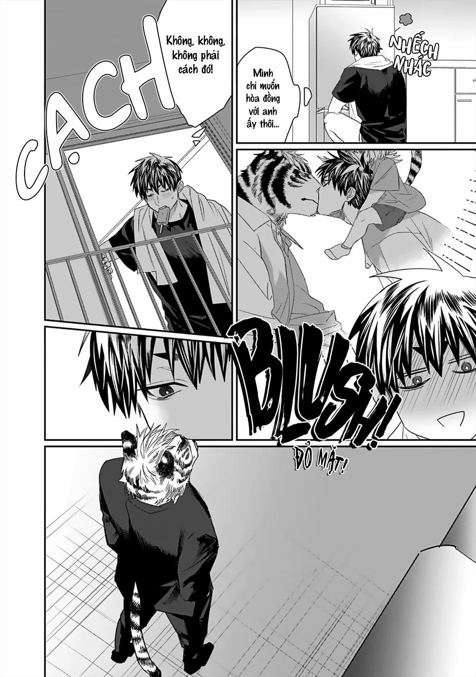 Chào Mừng Đến Văn Phòng Thám Tử Torano 2 trang 16