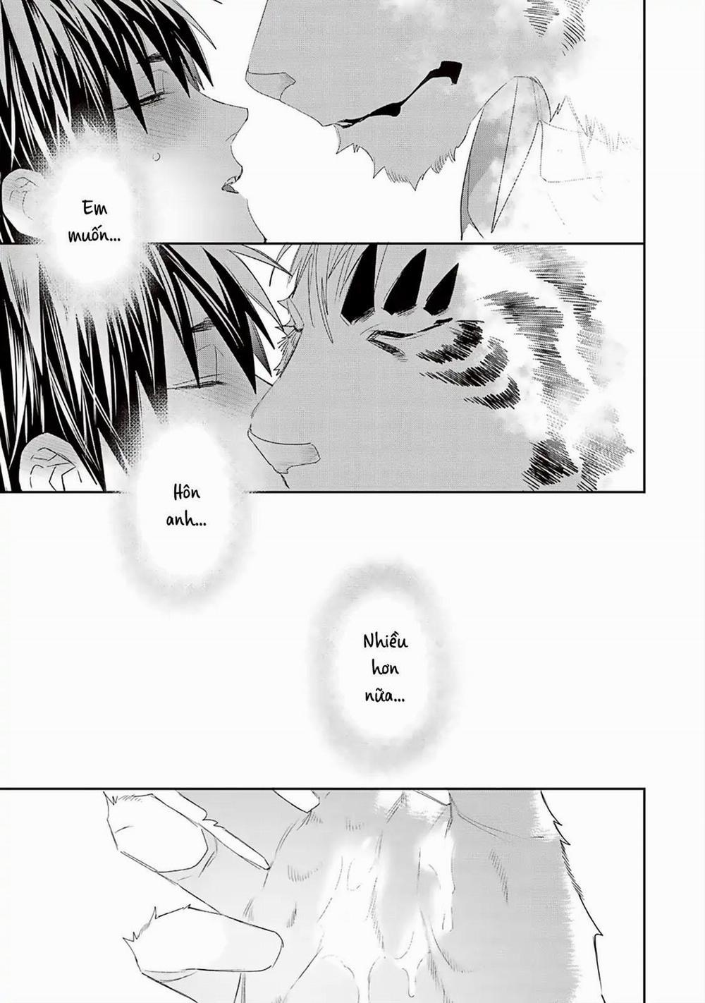 Chào Mừng Đến Văn Phòng Thám Tử Torano 5.5 trang 7