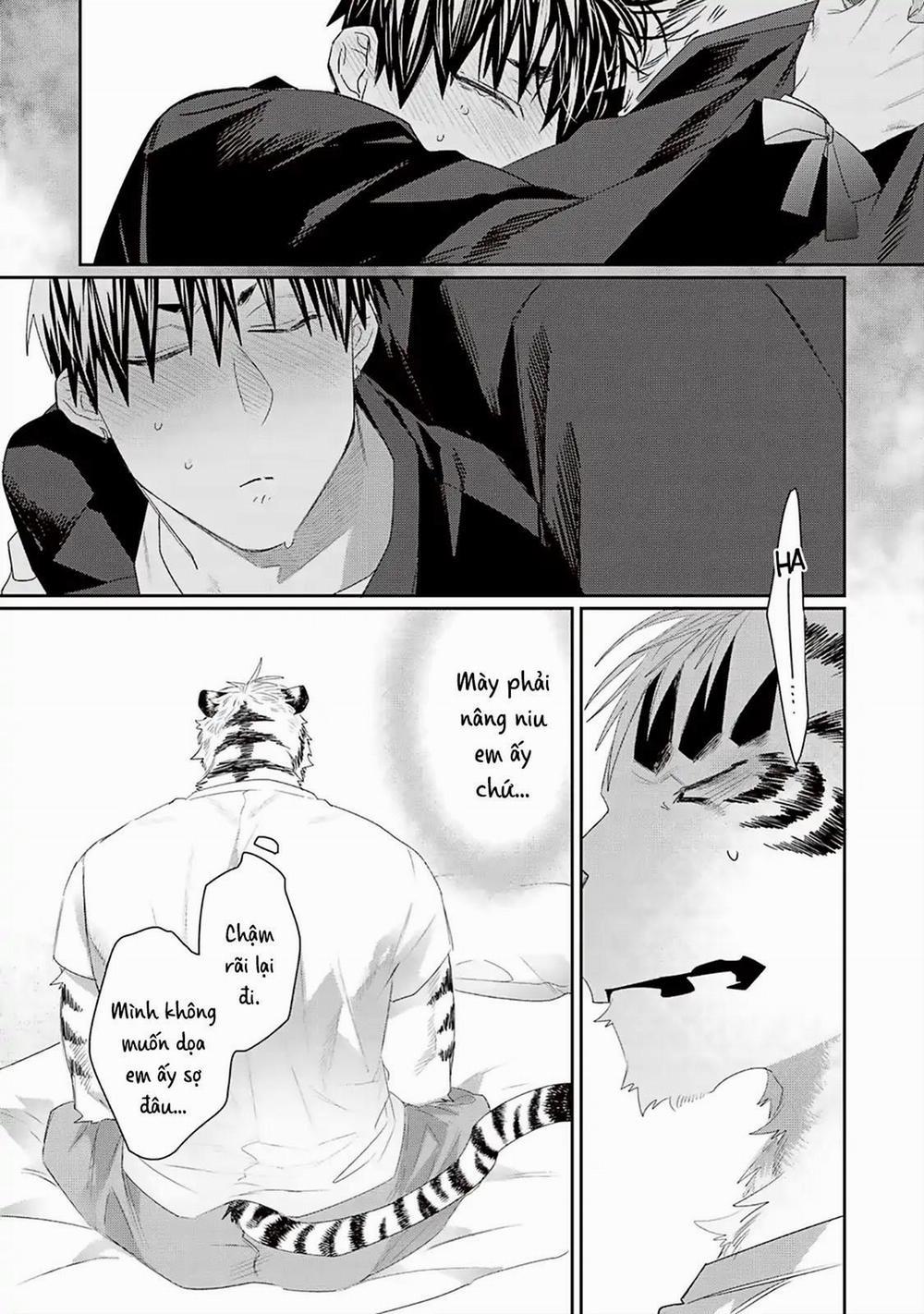 Chào Mừng Đến Văn Phòng Thám Tử Torano 5.5 trang 9