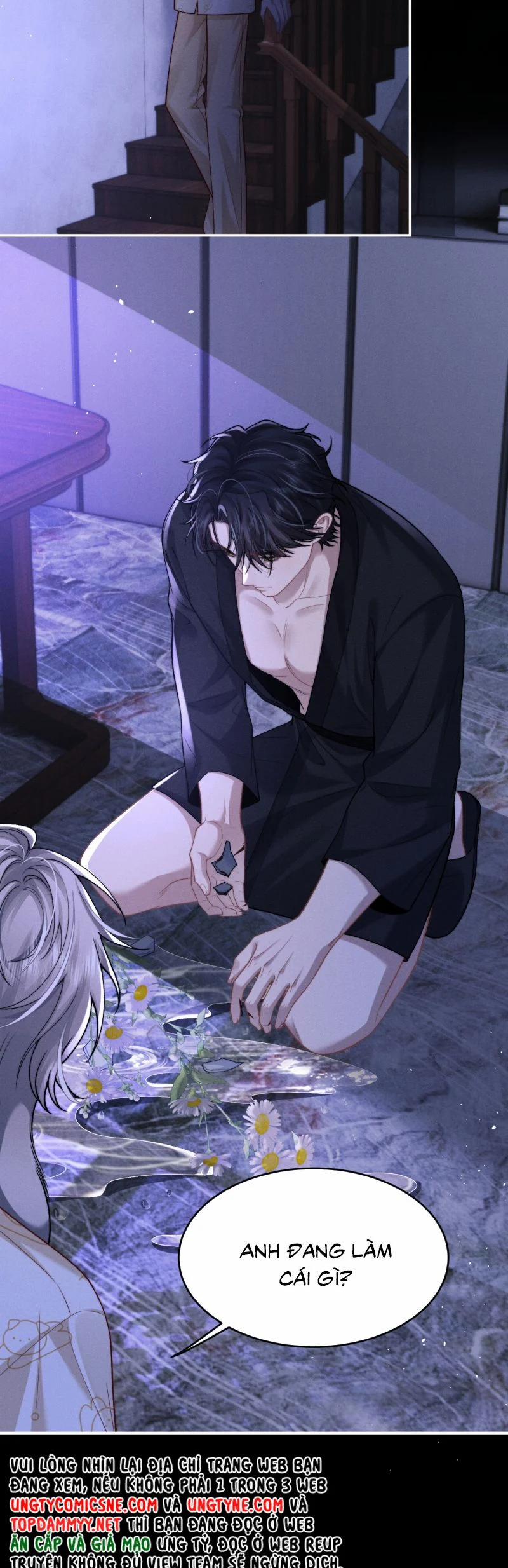 Chấp Sự Thỏ Cụp Tai 156 trang 5