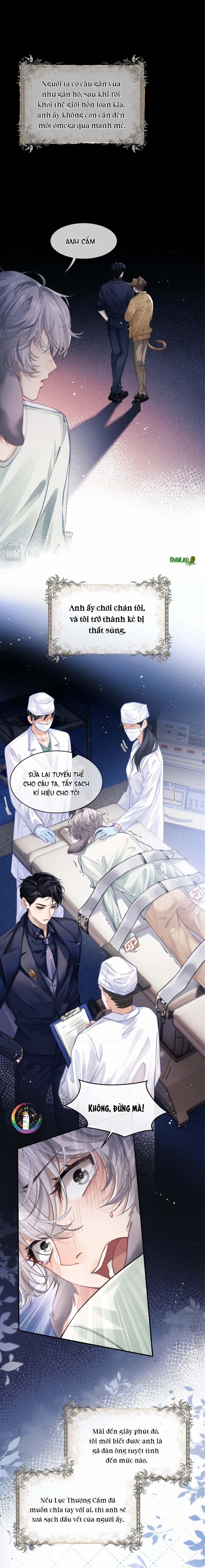 Chấp Sự Thỏ Tai Cụp 2 trang 4