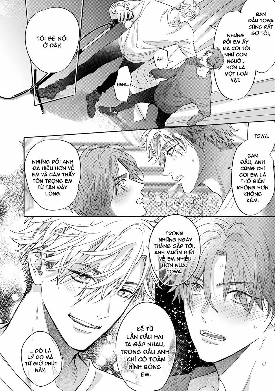 Chất Kích Thích 11 trang 15