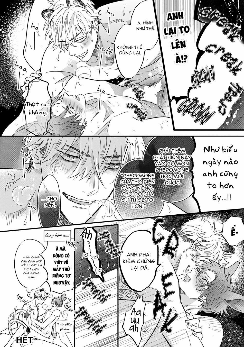 Chất Kích Thích 13 trang 3