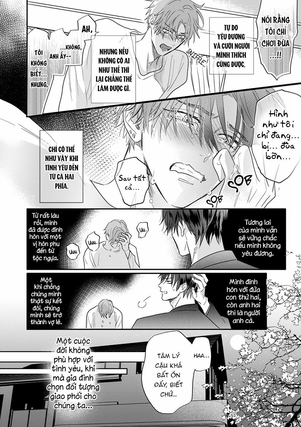 Chất Kích Thích 4 trang 8