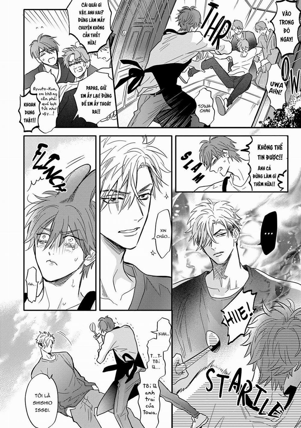 Chất Kích Thích 8 trang 33