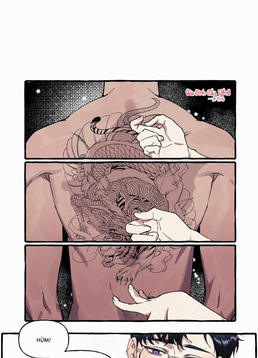 Che Giấu 4 trang 1