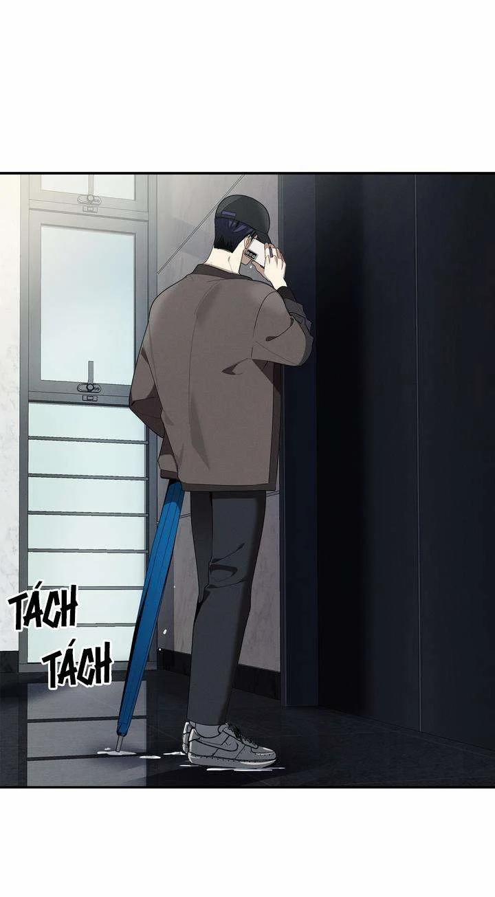 Cherry Scandal 37 trang 1