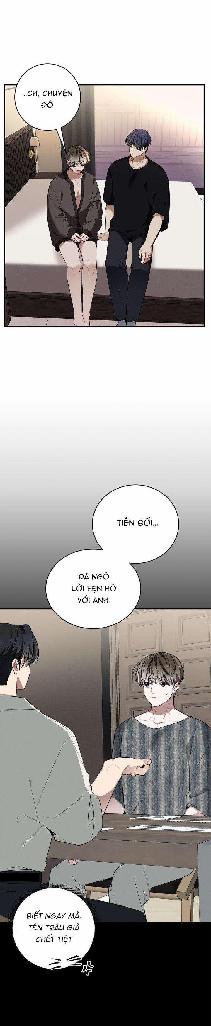 Cherry Scandal 38 trang 2