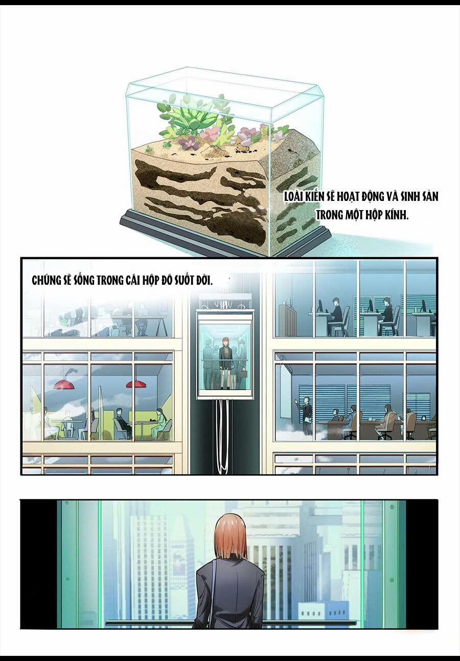 Chết Vì Chán 3 trang 12