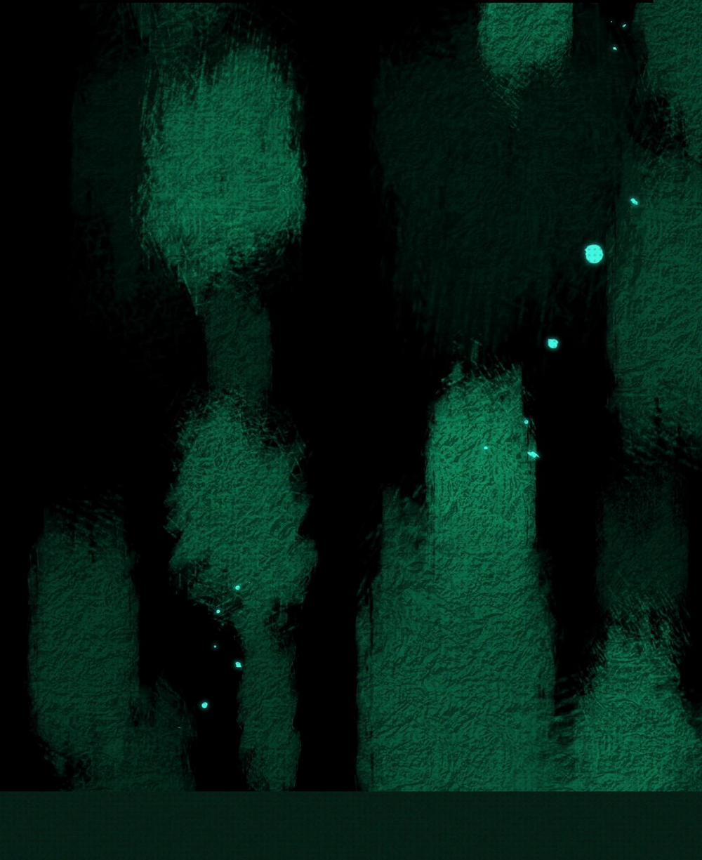 Chí Âm Chí Dương 13 trang 54