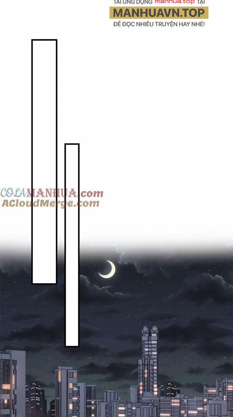 Chị Gái Tôi Là Đại Minh Tinh 234 trang 11