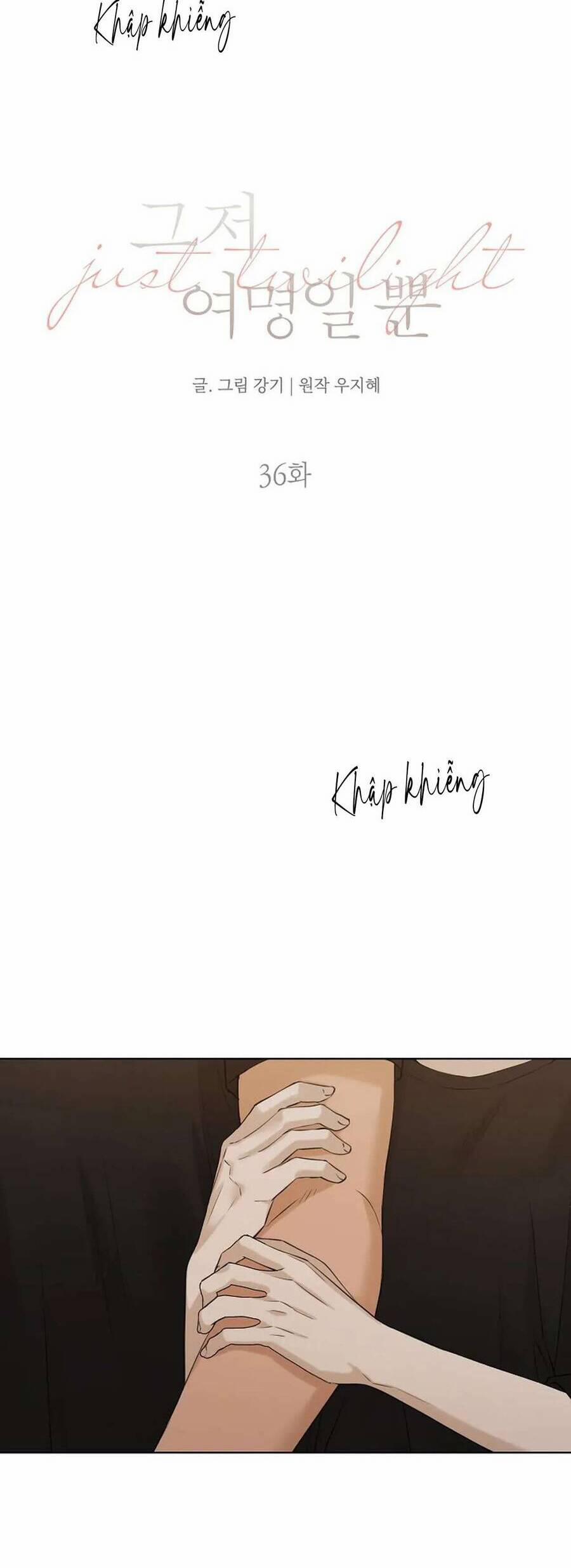 Chỉ Là Ánh Bình Minh 36 trang 14