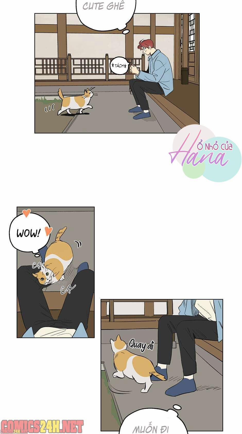 Chỉ Là Giấc Mơ Thôi Phải Không? 1 trang 20