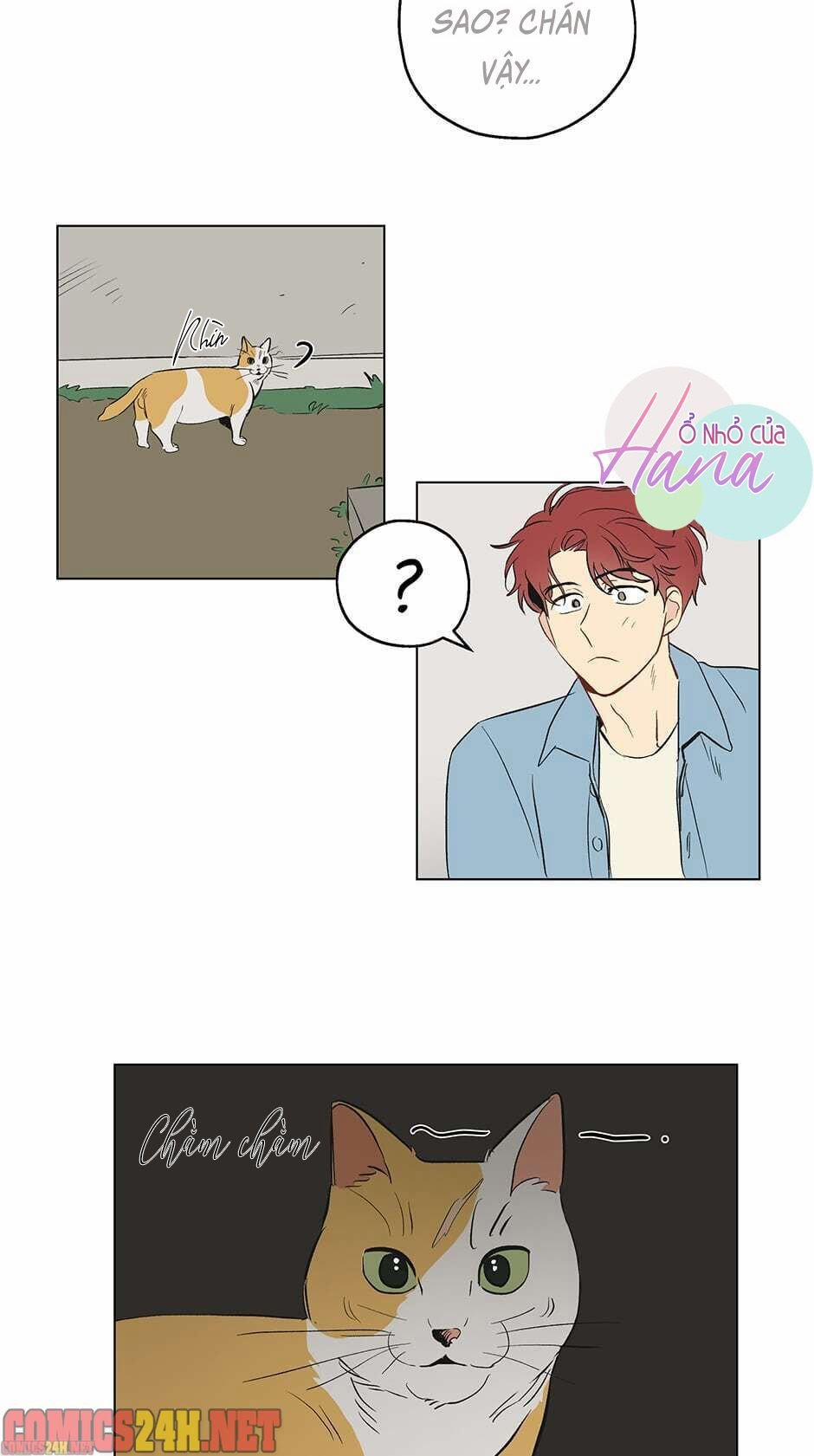 Chỉ Là Giấc Mơ Thôi Phải Không? 1 trang 21