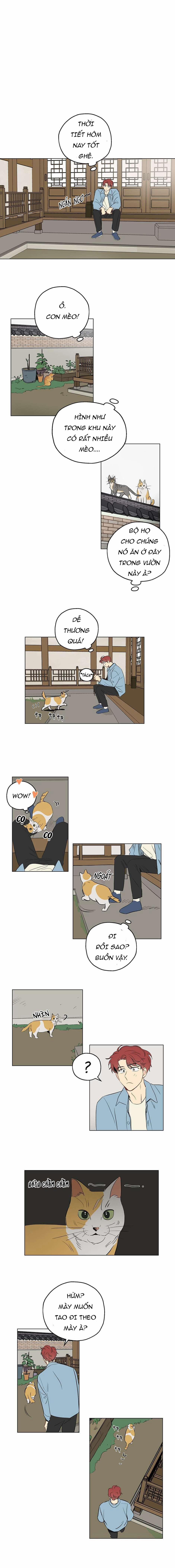 Chỉ Là Giấc Mơ Thôi Phải Không? 1 trang 4