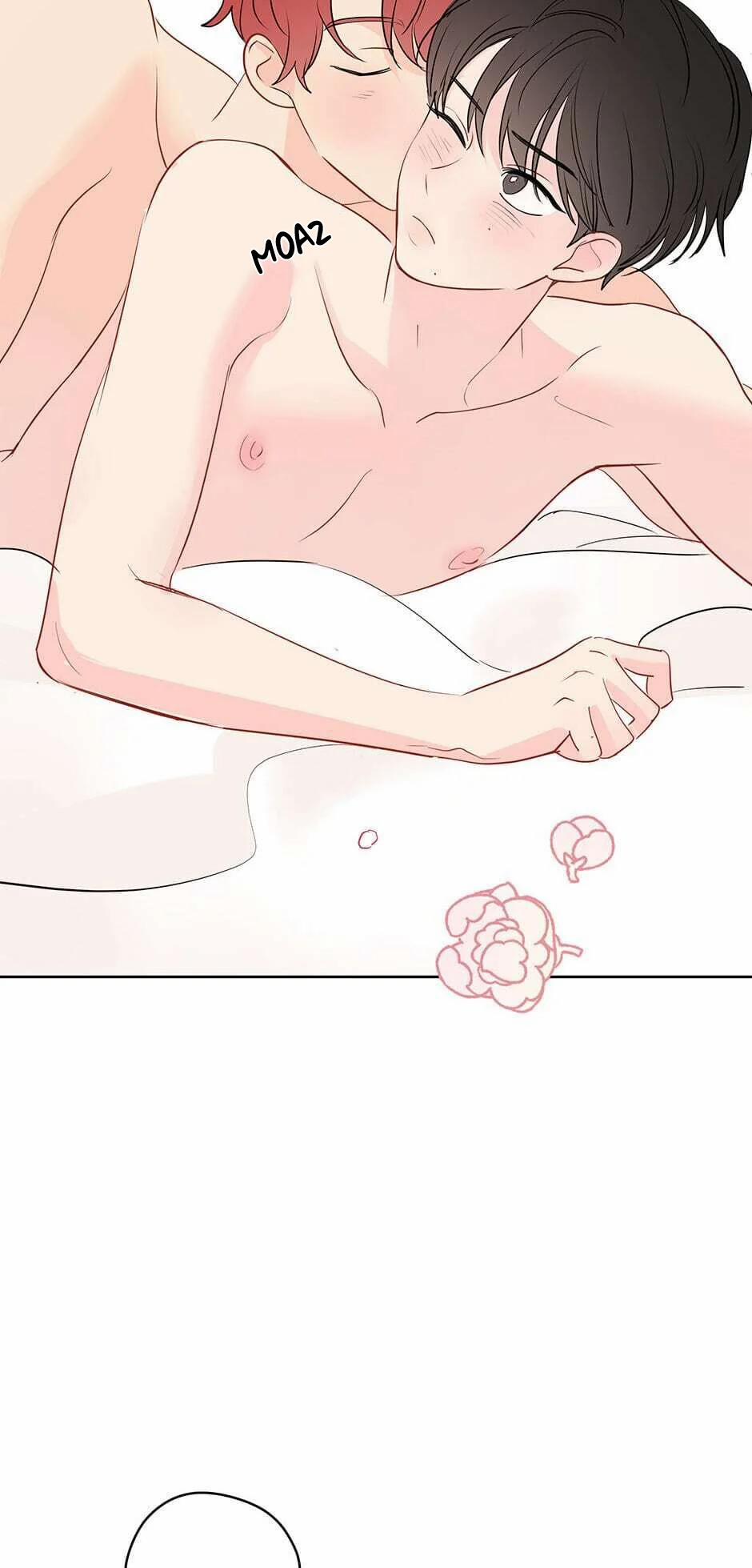 Chỉ Là Giấc Mơ Thôi Phải Không? 29 trang 20