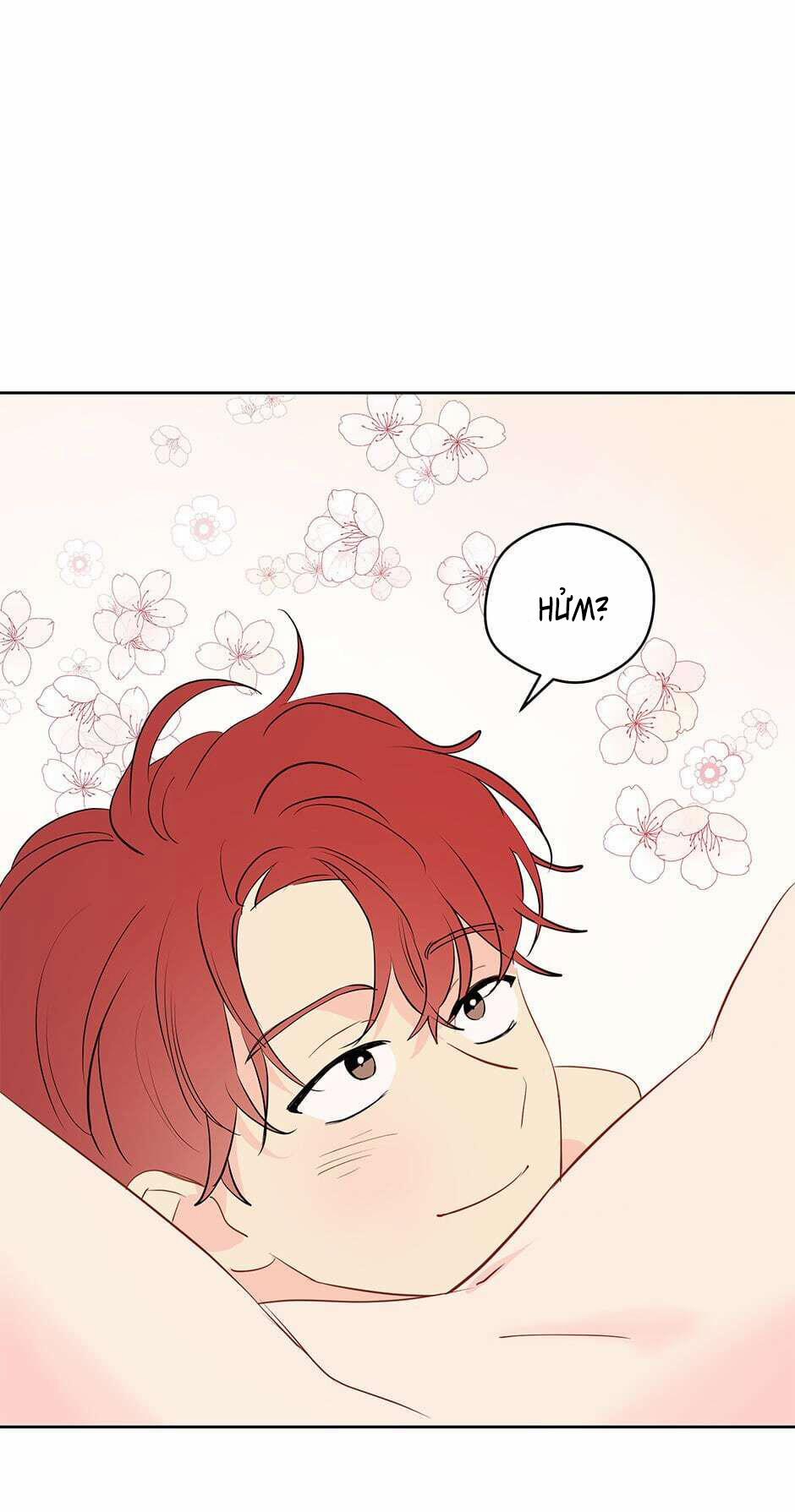 Chỉ Là Giấc Mơ Thôi Phải Không? 29 trang 22