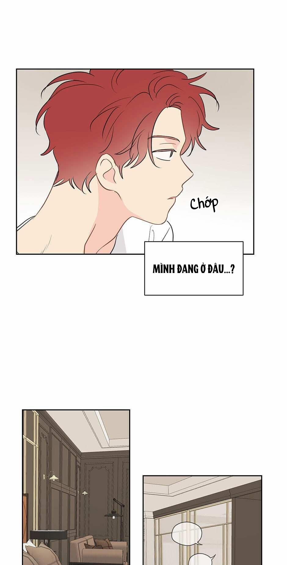Chỉ Là Giấc Mơ Thôi Phải Không? 31 trang 18