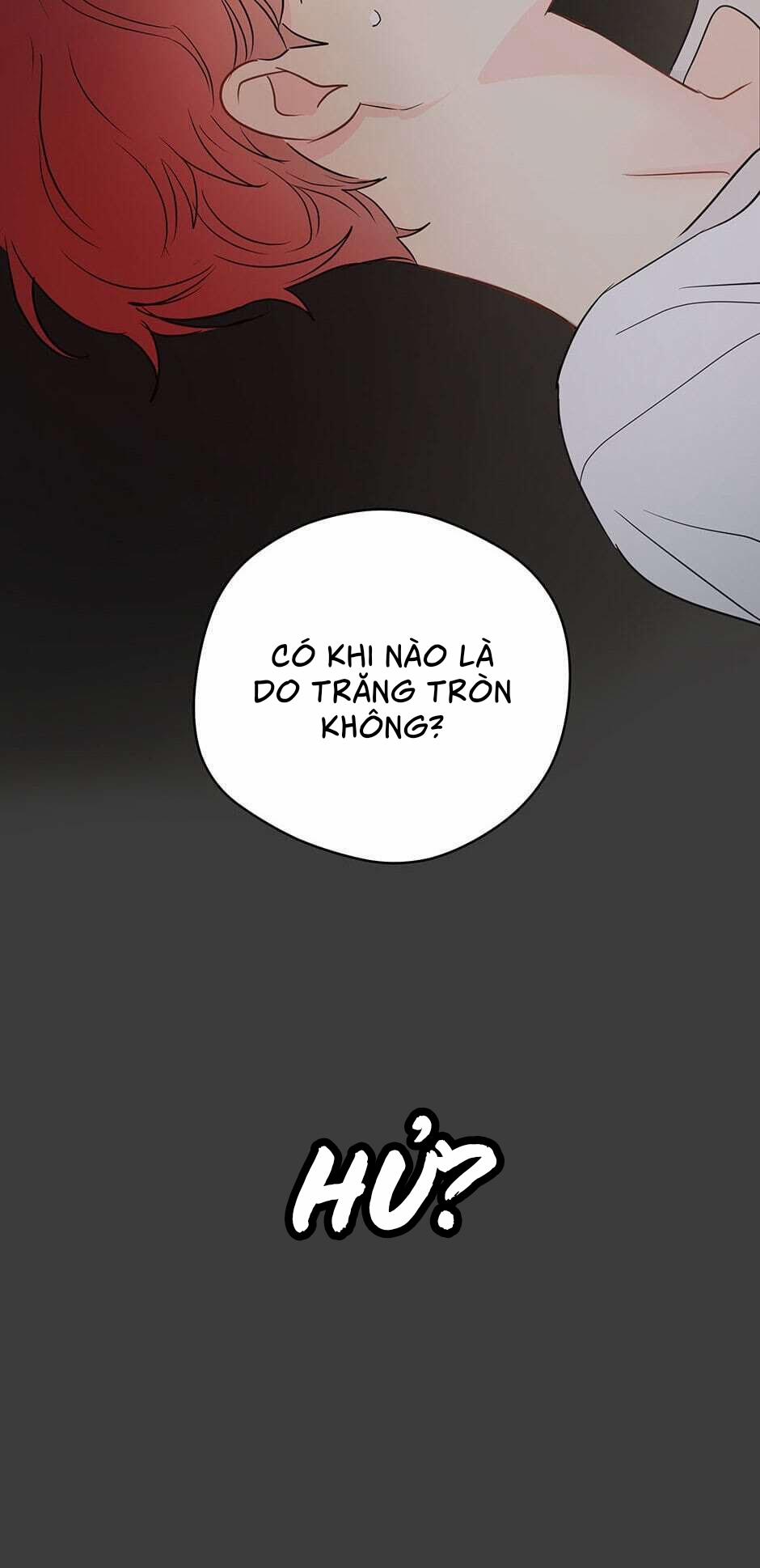 Chỉ Là Giấc Mơ Thôi Phải Không? 31 trang 37