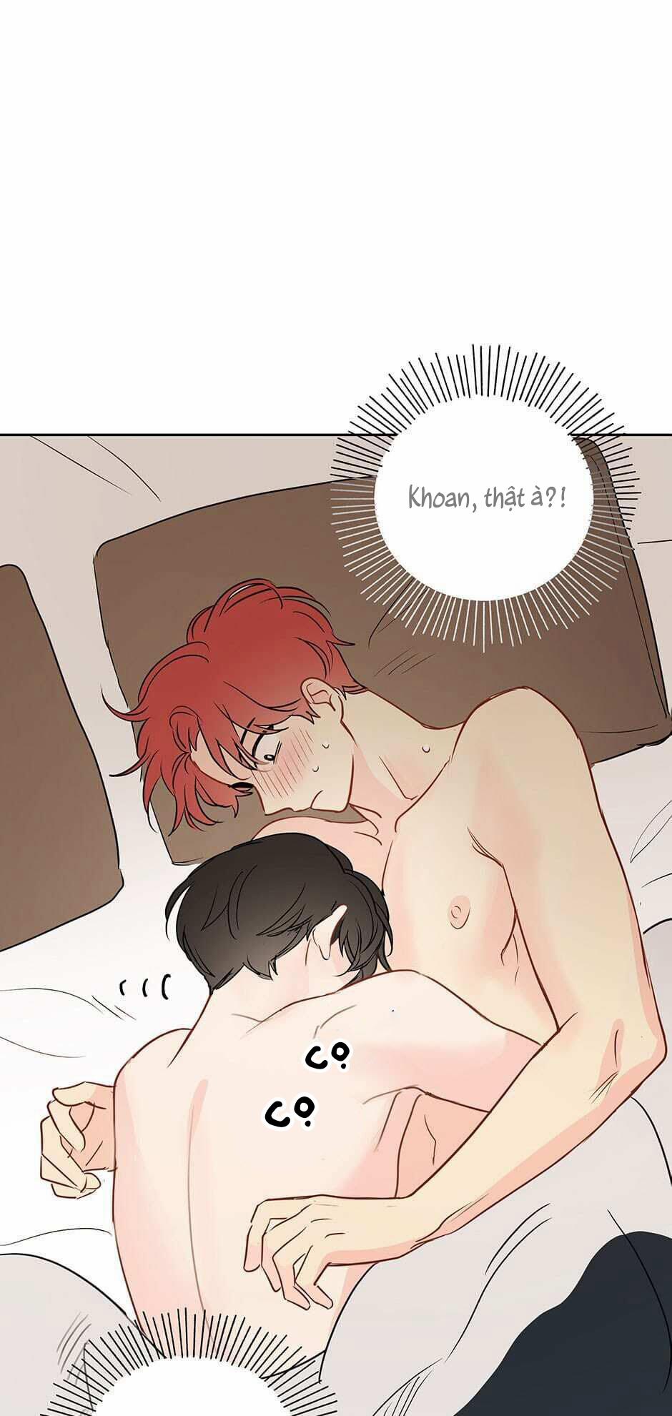 Chỉ Là Giấc Mơ Thôi Phải Không? 32 trang 0