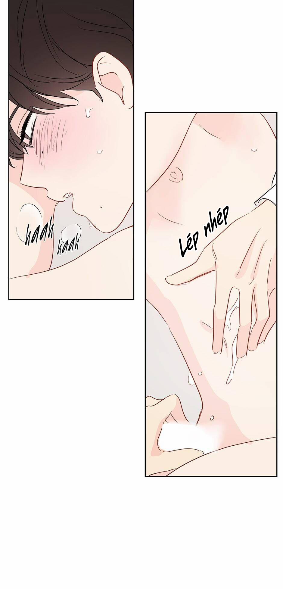 Chỉ Là Giấc Mơ Thôi Phải Không? 37 trang 4