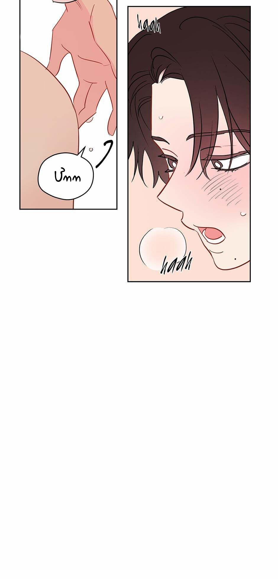 Chỉ Là Giấc Mơ Thôi Phải Không? 38 trang 26