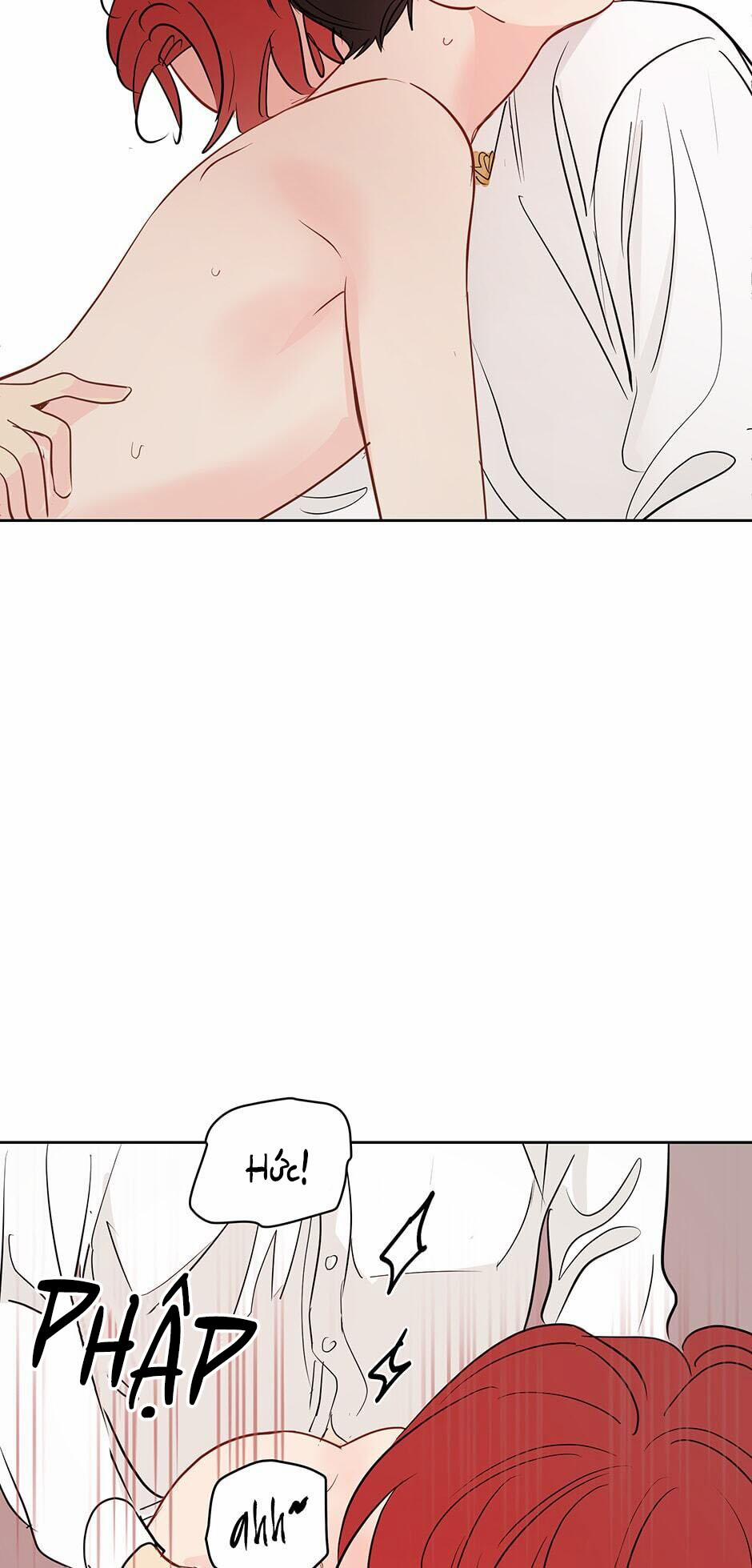 Chỉ Là Giấc Mơ Thôi Phải Không? 38 trang 36