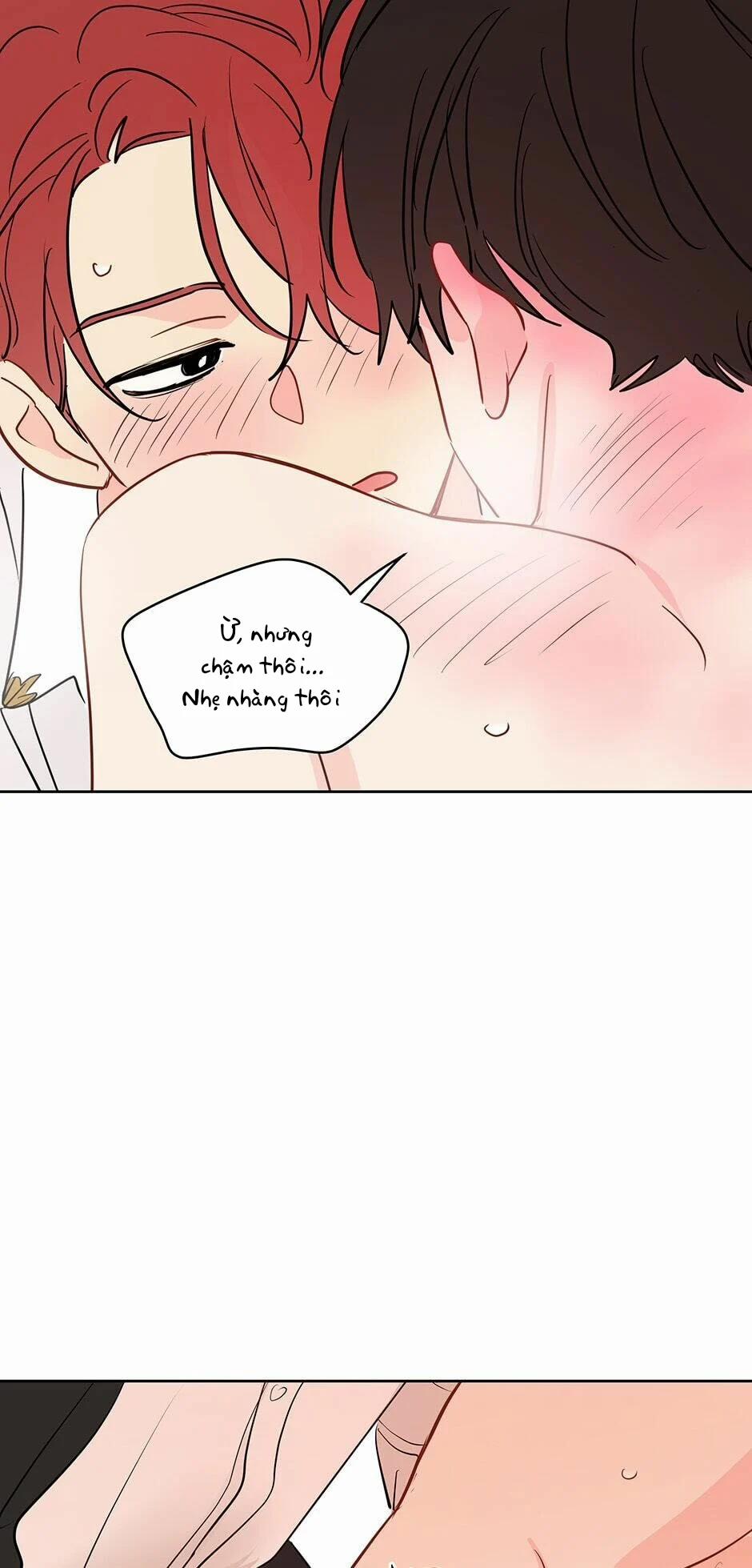 Chỉ Là Giấc Mơ Thôi Phải Không? 39 trang 38