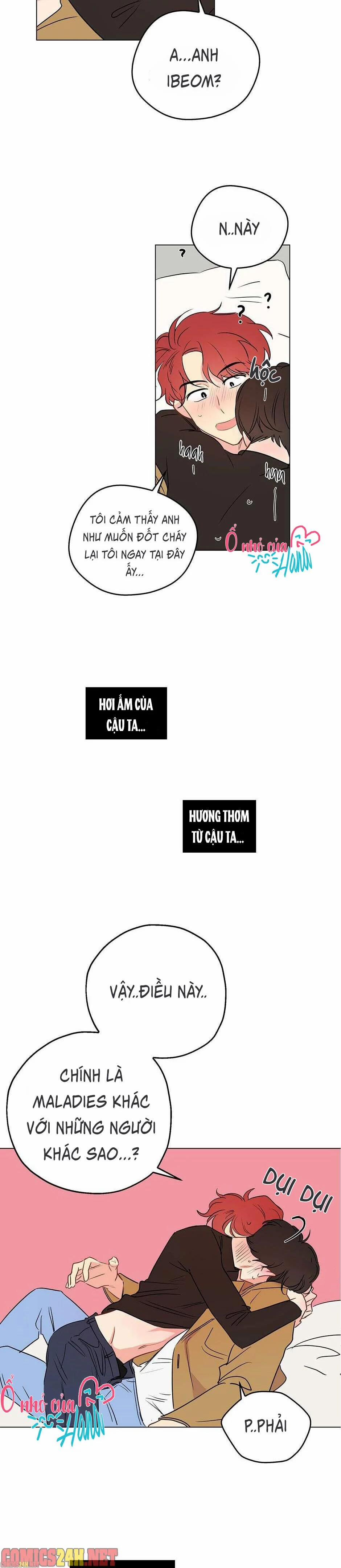 Chỉ Là Giấc Mơ Thôi Phải Không? 4 trang 15
