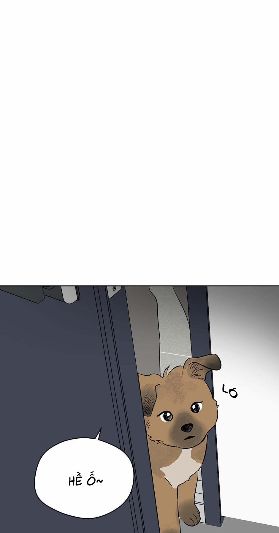 Chỉ Là Giấc Mơ Thôi Phải Không? 41 trang 15