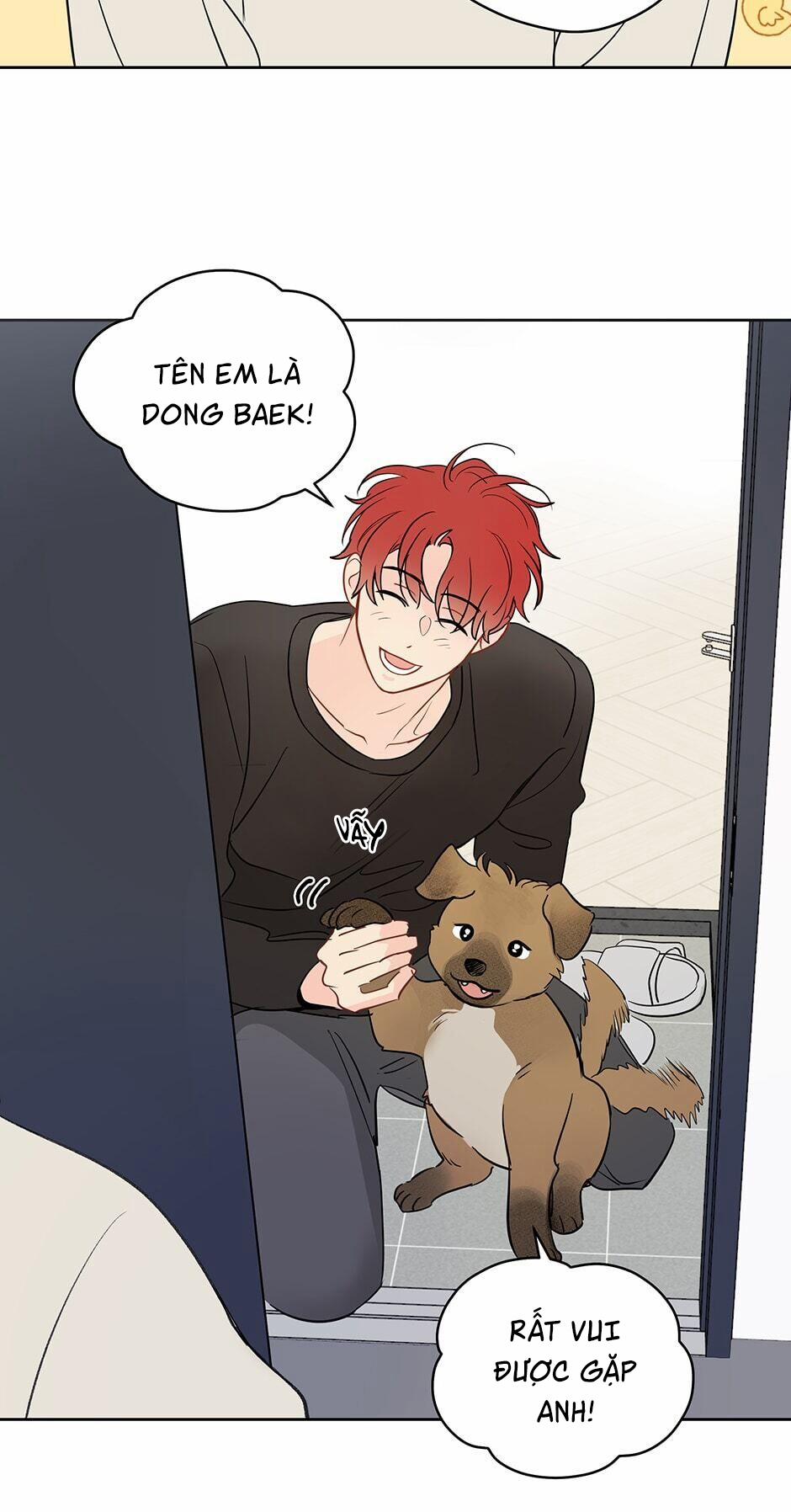 Chỉ Là Giấc Mơ Thôi Phải Không? 41 trang 17