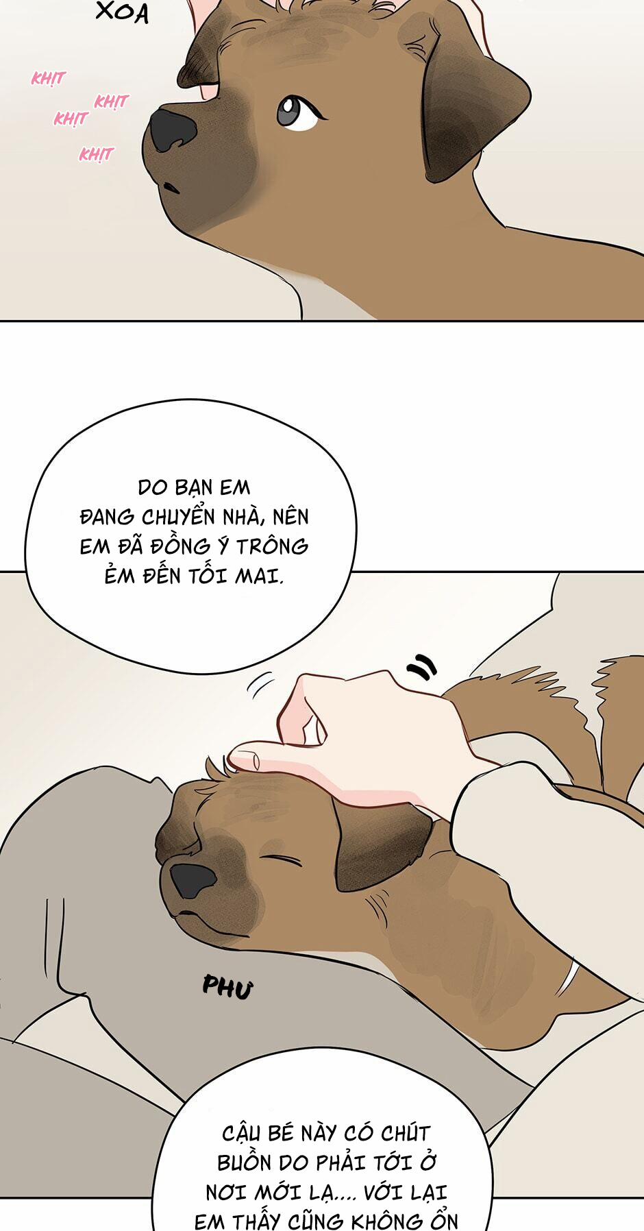 Chỉ Là Giấc Mơ Thôi Phải Không? 41 trang 19