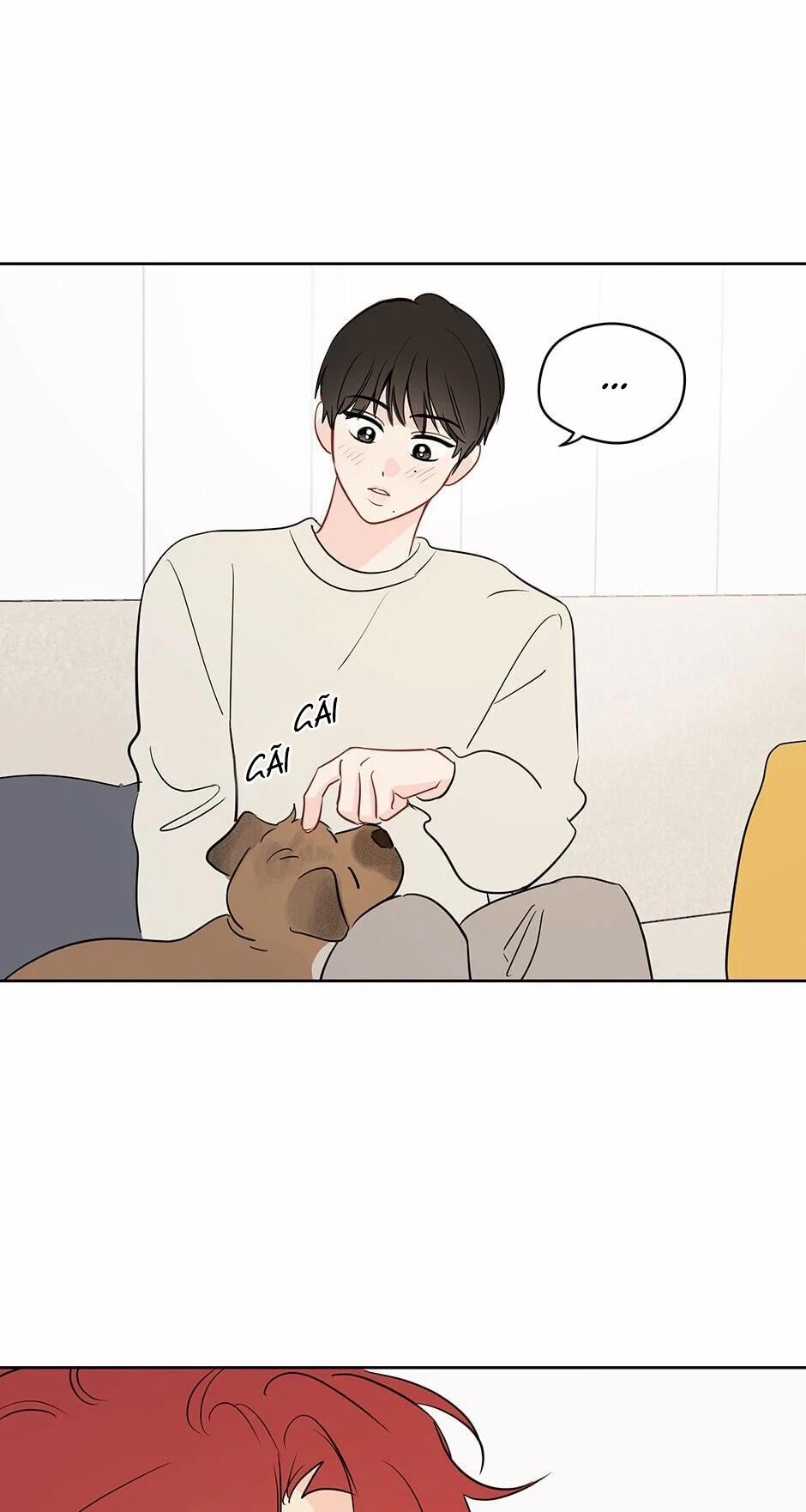 Chỉ Là Giấc Mơ Thôi Phải Không? 41 trang 21