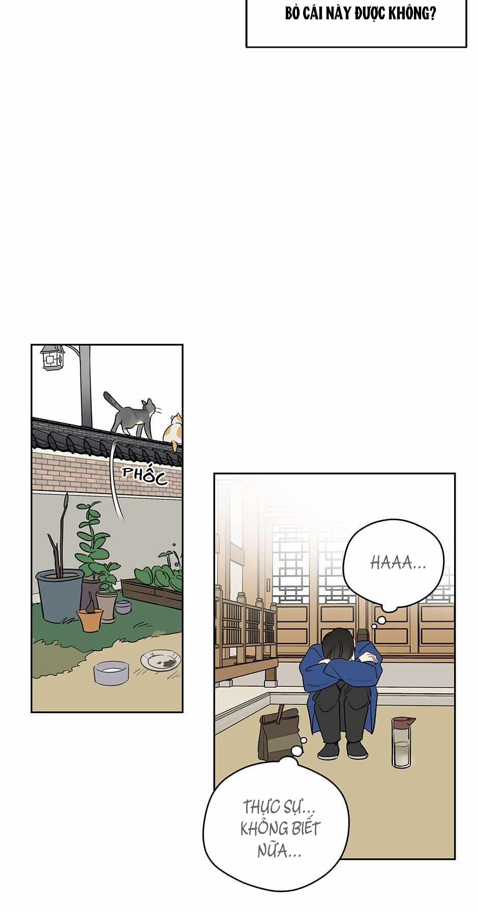 Chỉ Là Giấc Mơ Thôi Phải Không? 41 trang 6