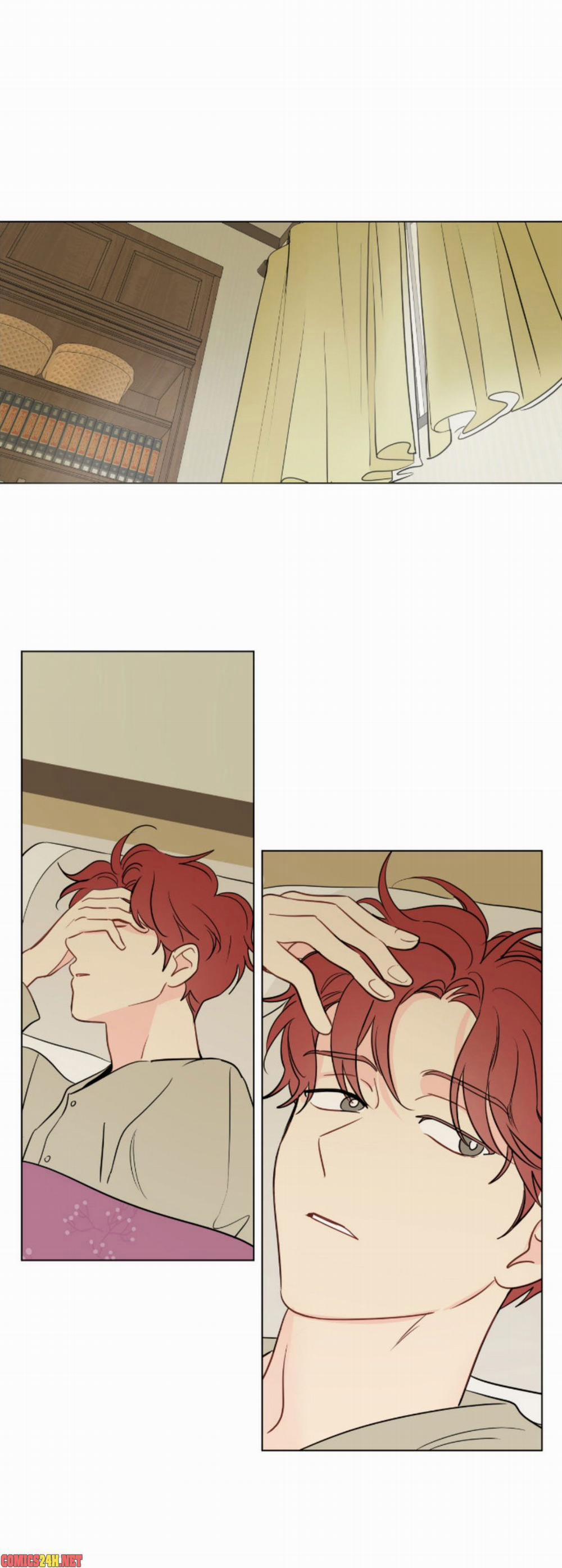 Chỉ Là Giấc Mơ Thôi Phải Không? 48 trang 0