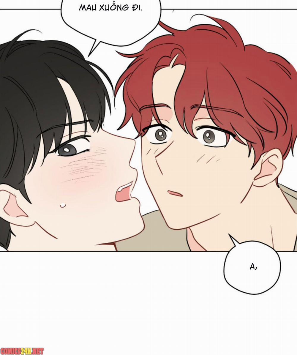 Chỉ Là Giấc Mơ Thôi Phải Không? 48 trang 14