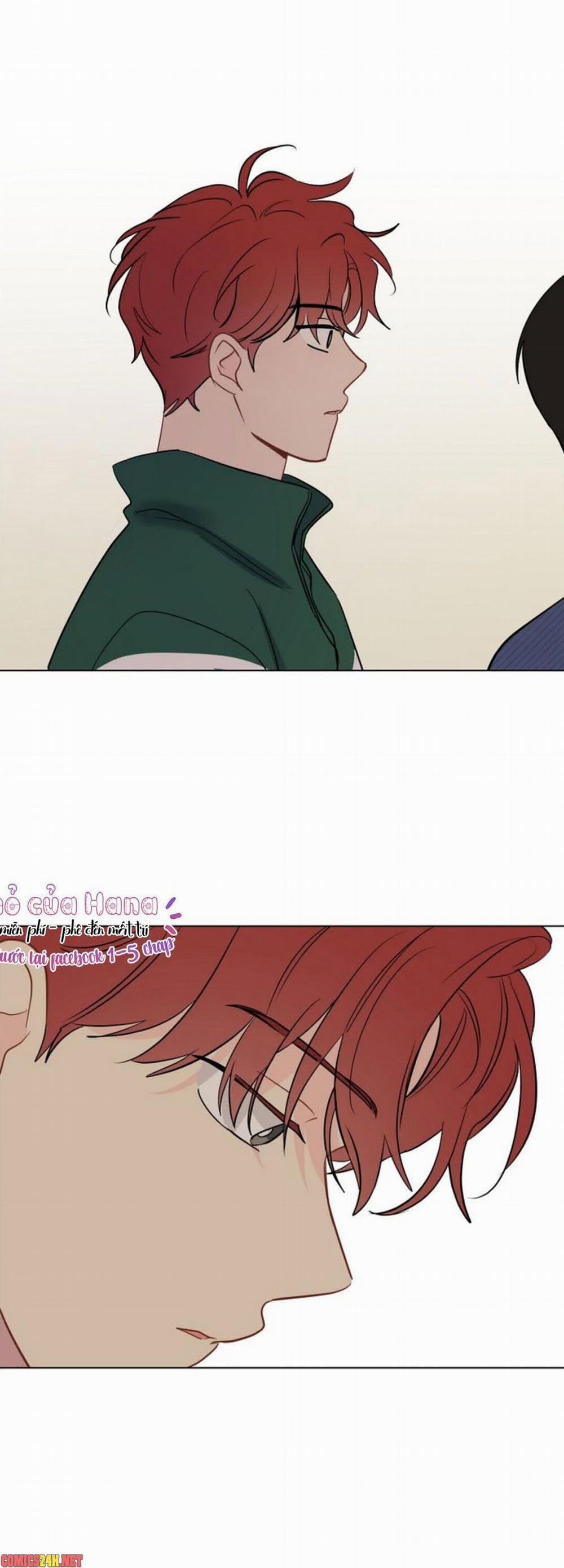 Chỉ Là Giấc Mơ Thôi Phải Không? 49 trang 20