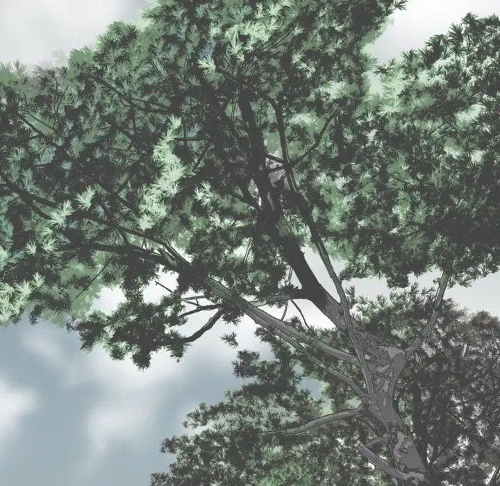 Chỉ Mình Em 2 trang 31