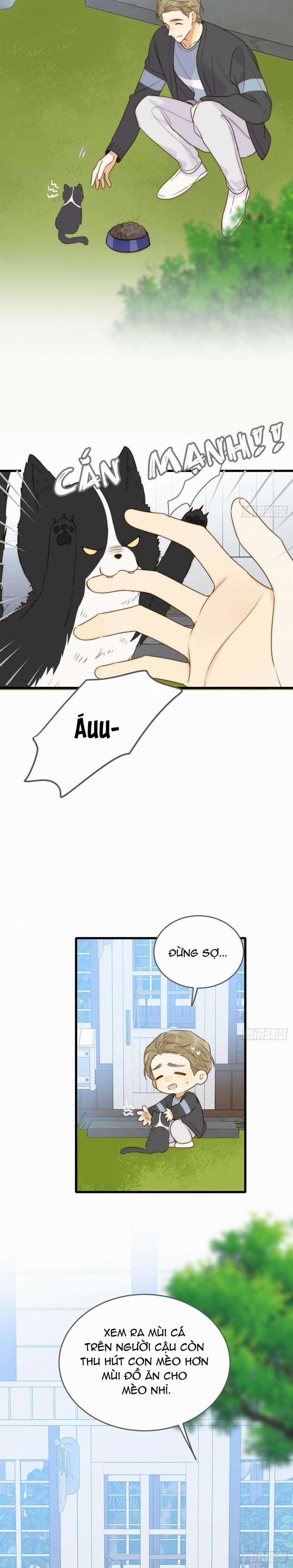 Chỉ Riêng Đuôi Là Không Được!!! 55 trang 6