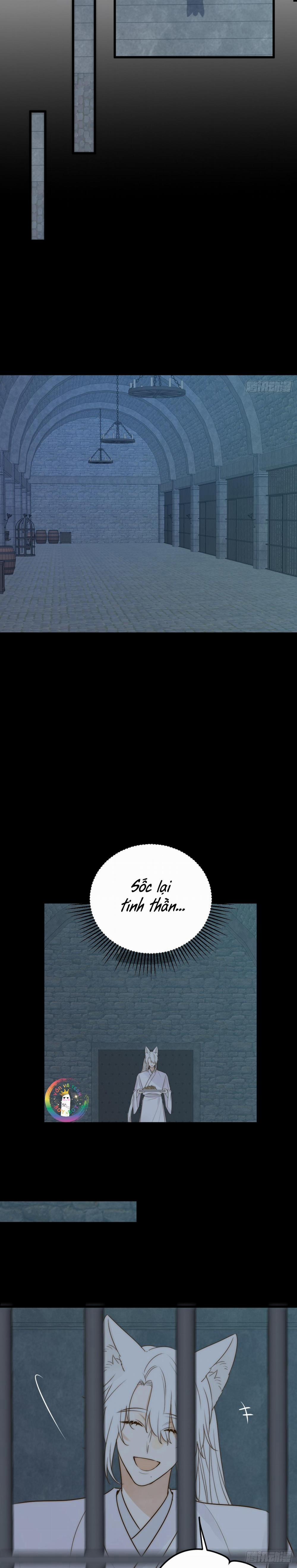 Chỉ Riêng Đuôi Là Không Được!!! 62 trang 5