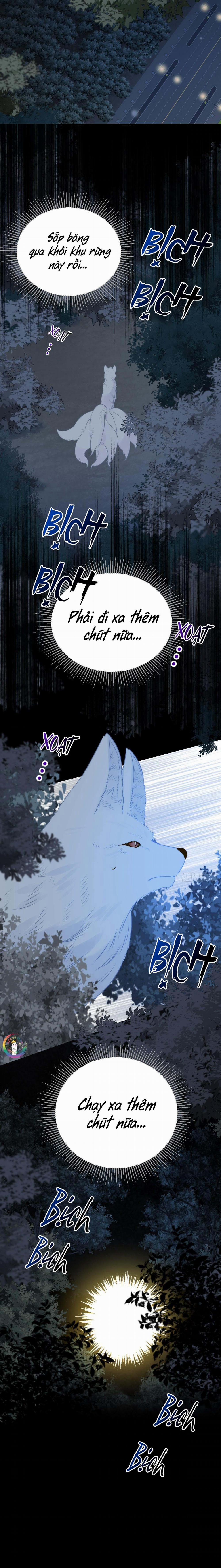 Chỉ Riêng Đuôi Là Không Được!!! 72 trang 8