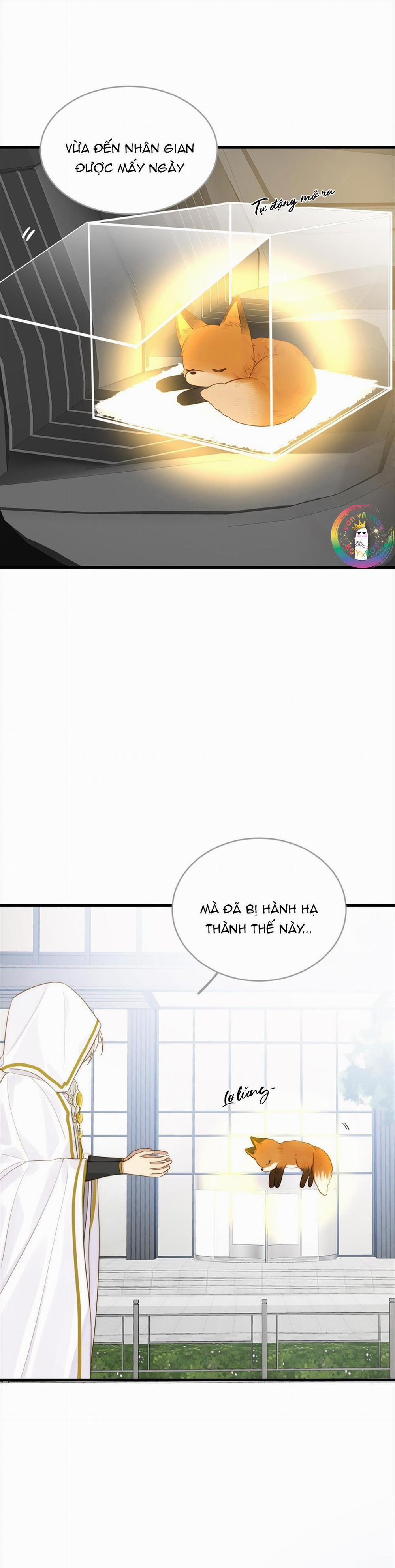 Chỉ Riêng Đuôi Là Không Được!!! 8 trang 11