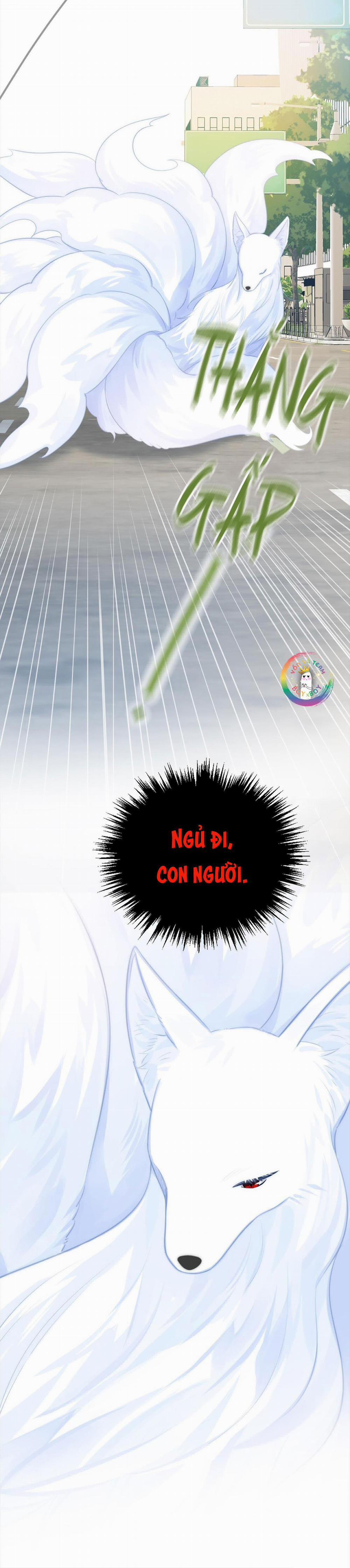 Chỉ Riêng Đuôi Là Không Được!!! 8 trang 5