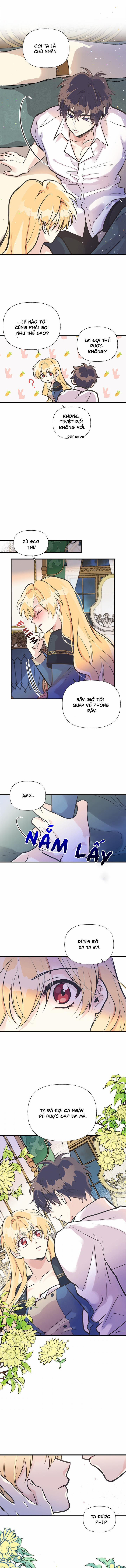 Chị Tôi Đã Nhặt Về Một Nam Chính Quyến Rũ 46.5 trang 0