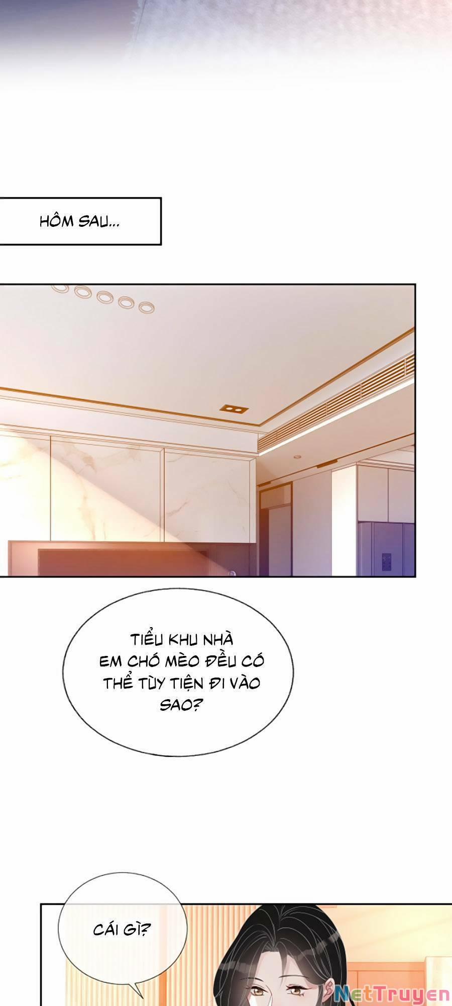 Chỉ Yêu Mình Em 82 trang 20