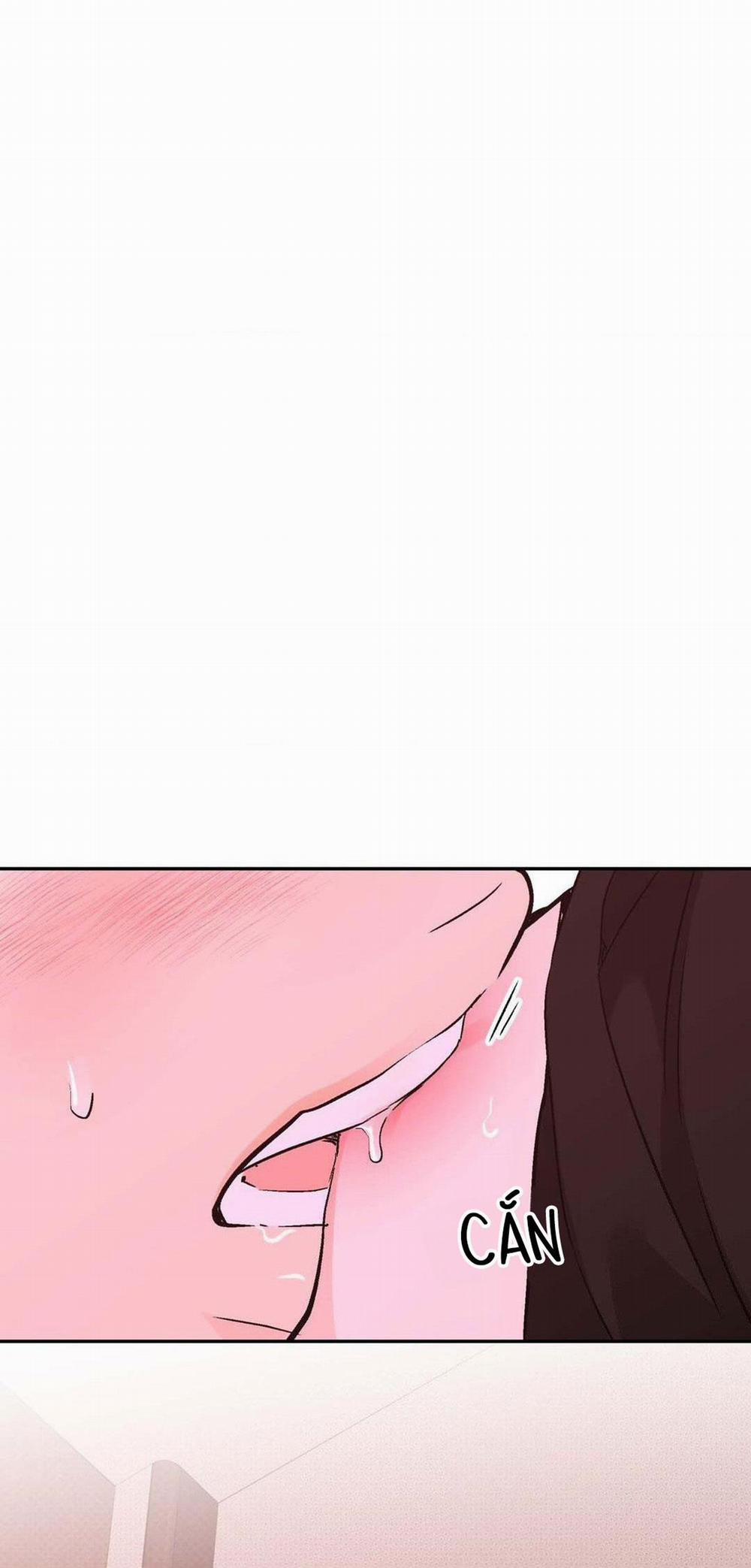 Chiếc Lá Lay Động Theo Giai Điệu 10 trang 14