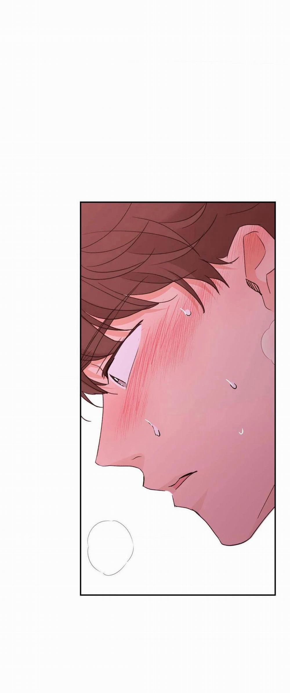 Chiếc Lá Lay Động Theo Giai Điệu 11 trang 1